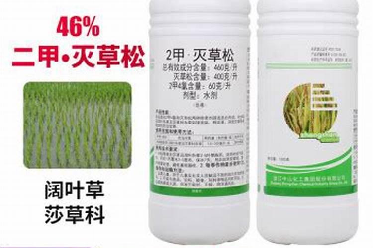 2甲灭草松能灭什么草
