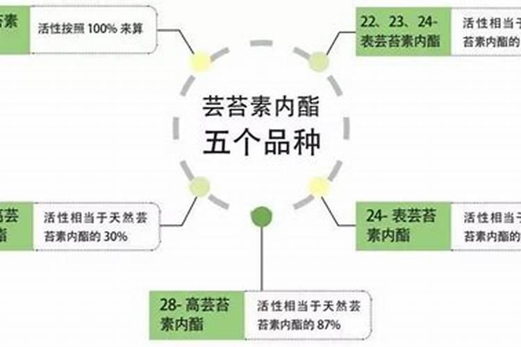 哈密瓜雅典打什么肥好上网纹吖!