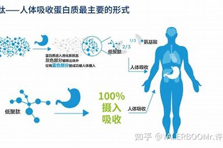 肥料是什么意思