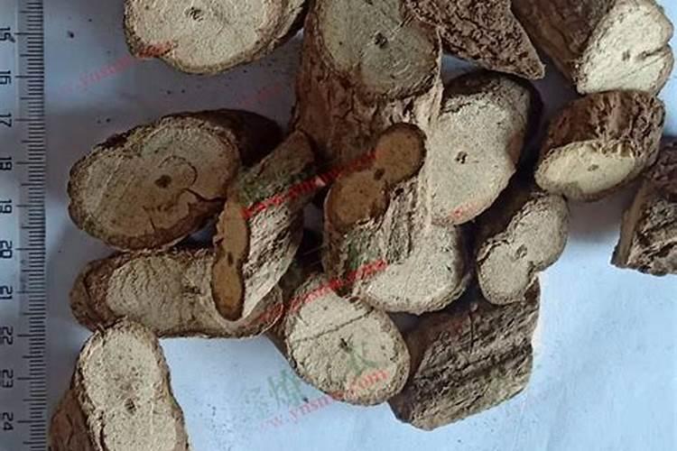 柑橘树缺钾有哪些症状和防治措施？