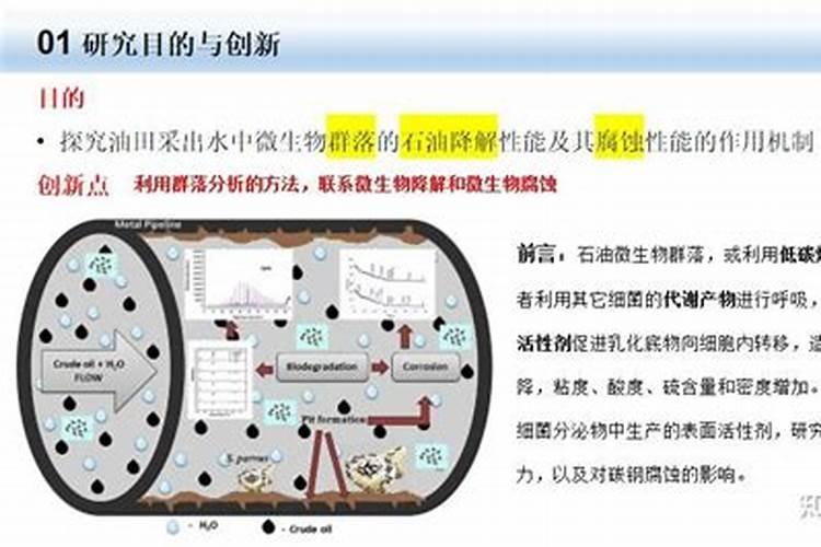冲施肥用腐殖酸好还是黄腐殖酸好