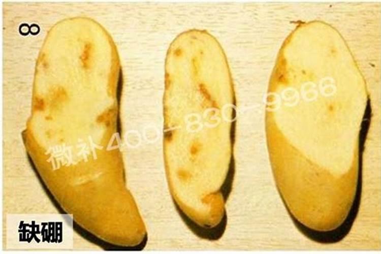 出口蔬菜用什么样的肥料追肥好？