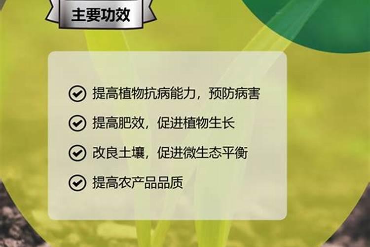 含镁的食物有哪些？