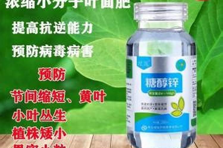 西瓜刚进入结瓜阶段就用绿陇甲瓜会有啥变化