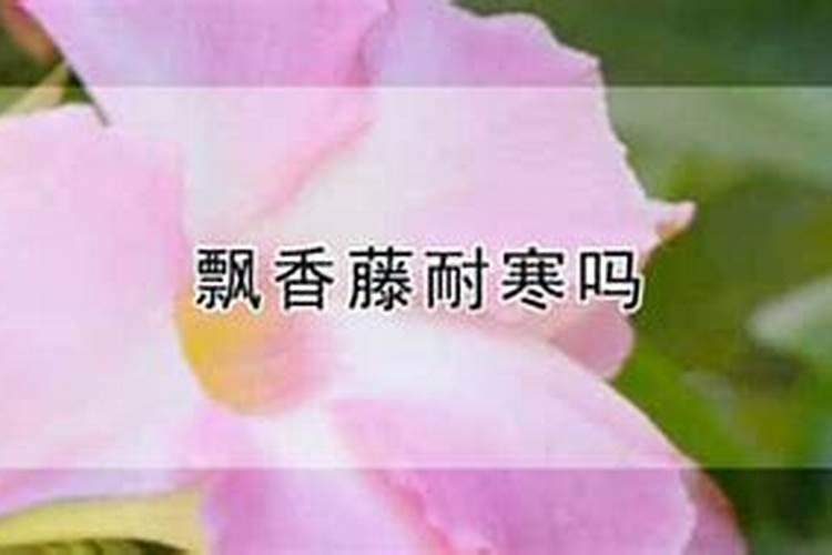尿素好还是氨基酸水溶肥好？
