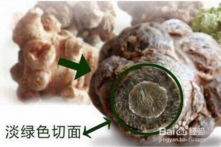 怎样辨别磷肥真伪
