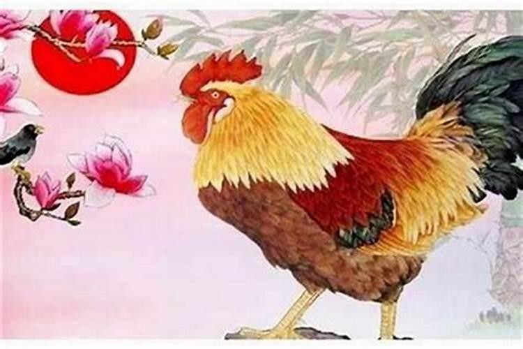 钙镁磷肥是什么生肖
