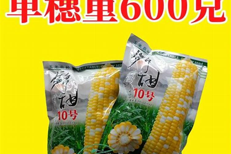 玉米绿壮叶面肥1000克多少钱一瓶