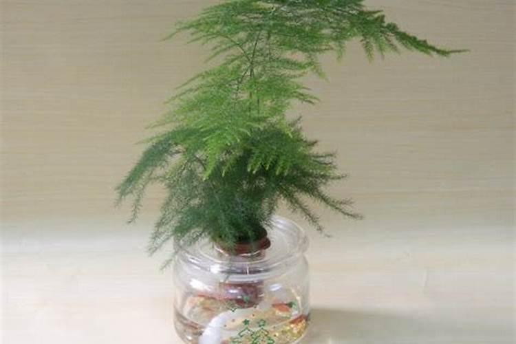 黄瓜种植很普遍,有哪些方法可以高产？