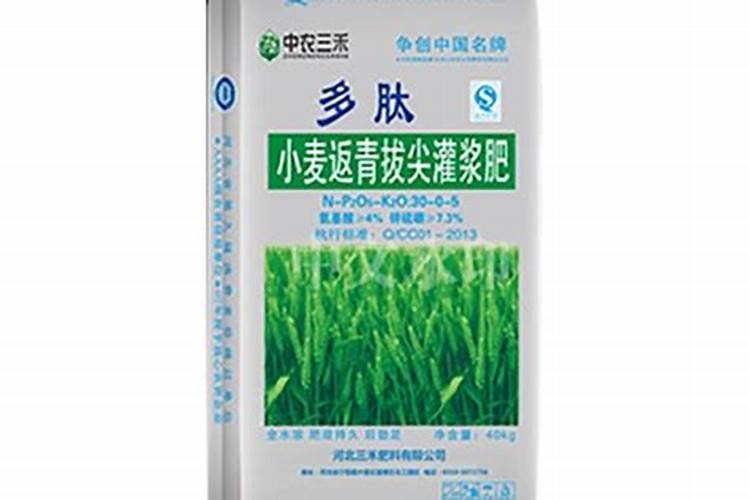 苦瓜打什么农药结瓜多