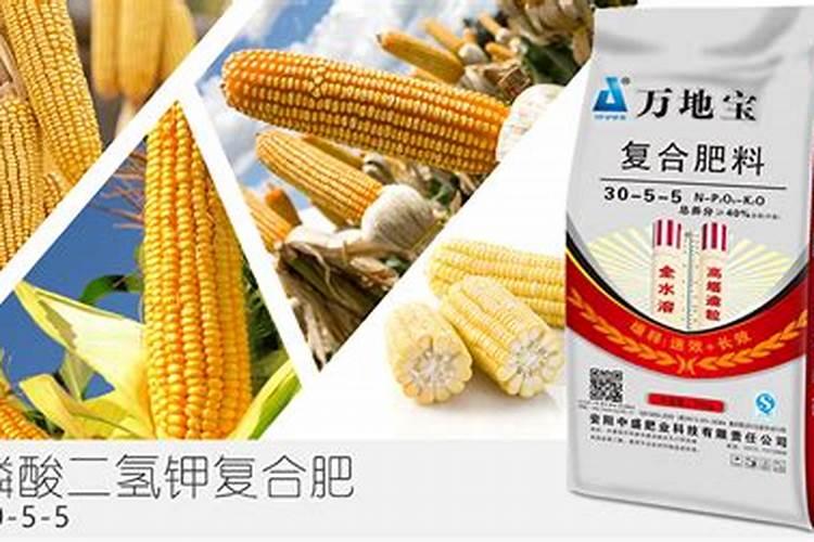 玉米底肥的正确使用方法