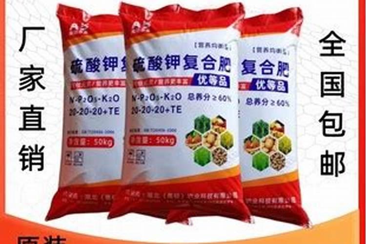 玉米底肥的正确使用方法