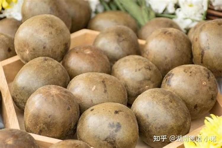 我种植的罗汉果最近莫名就死掉,发现都是主梗中间一节变成褐色然后枯死...