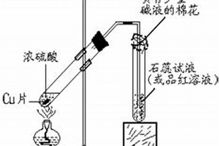 稻田生态系统需要定期补充氮肥的原因