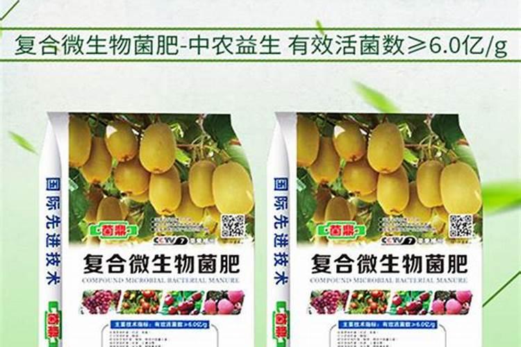 冬小麦应该如何施肥？