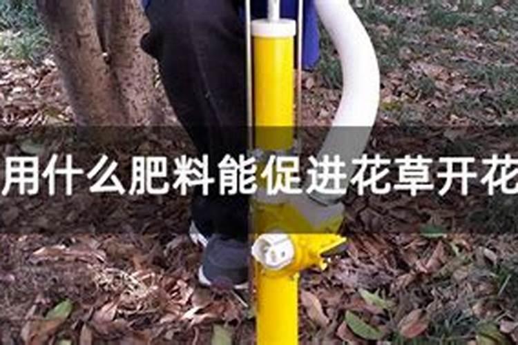 有什么化肥可以促进植物生根长叶？