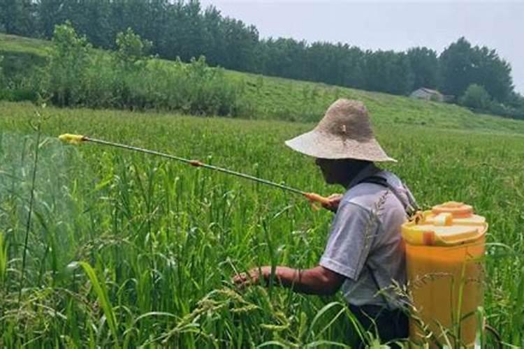 叶面肥和农药可以混在一起使用吗 常用叶面肥与农药混用先后顺序百度...