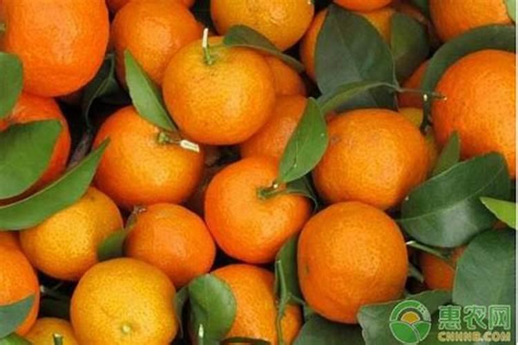 腐植酸肥料的优点,很多化肥根本没有,你会正确施用吗