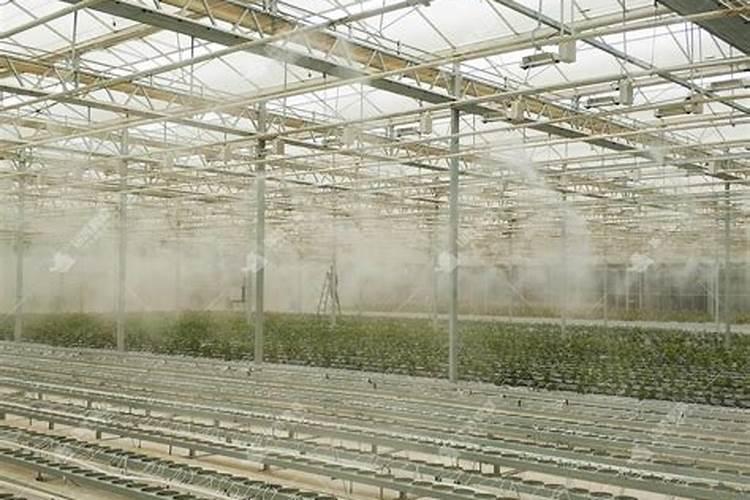 老师你好？请在什么时间施肥最好？大棚黄瓜到7月份。谢谢？