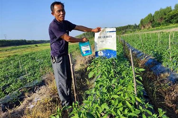 如何鉴定植物发生了缺氮磷钾的现象