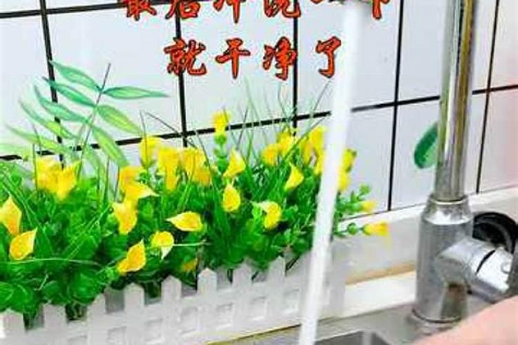 水溶肥十大名牌