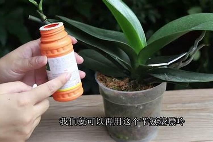 下雨天桃树开花,用芸苔素喷花,能提高坐果吗？