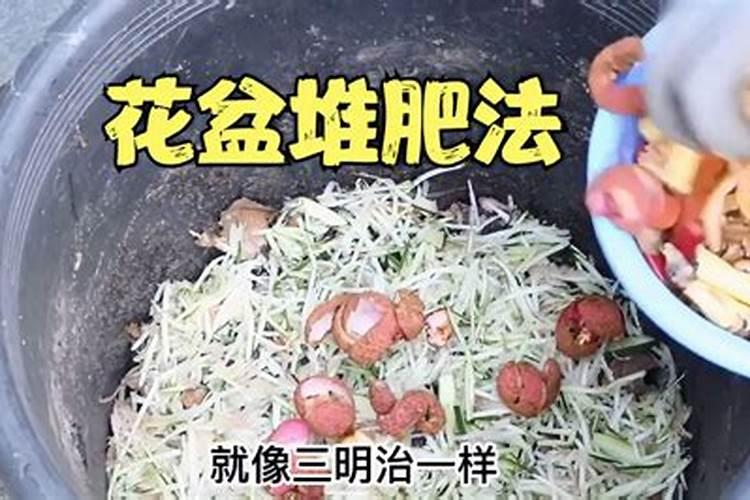 各位老师、介绍几个黄瓜结果前期好一些的冲施肥、先谢了