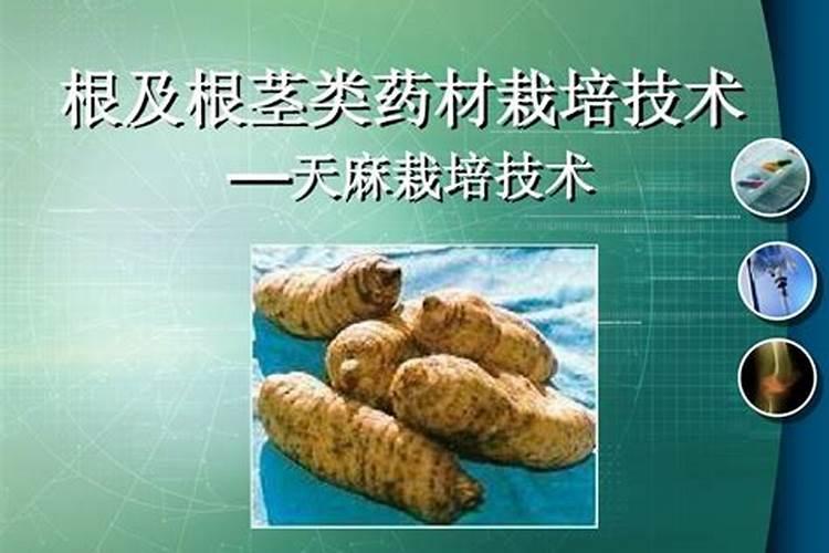 种扁豆如何正确施肥？
