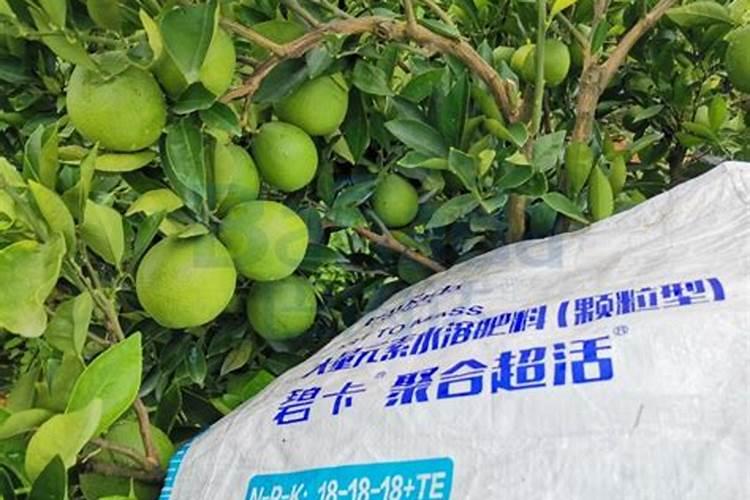 茶籽饼怎么发酵做肥料
