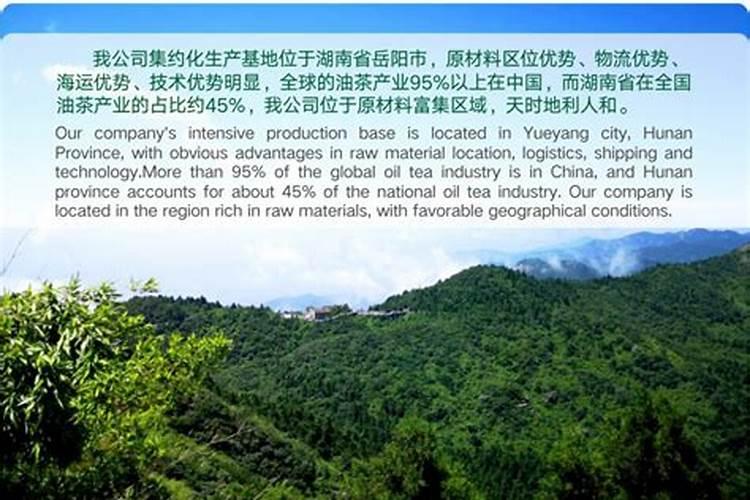 石斛兰上面的茎干冻死了下面的根能发芽吗？