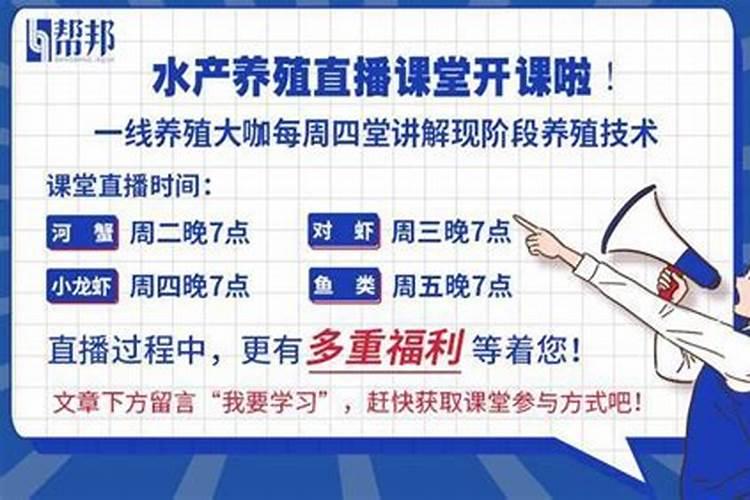 黄瓜苗多大可以施肥