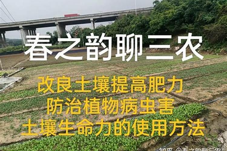 蔬菜施肥过量出现的生理病害症状