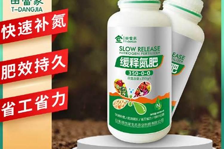 蔬菜定植穴内施肥要谨慎