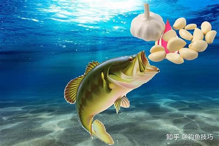 鱼蛋白肥料的使用技巧