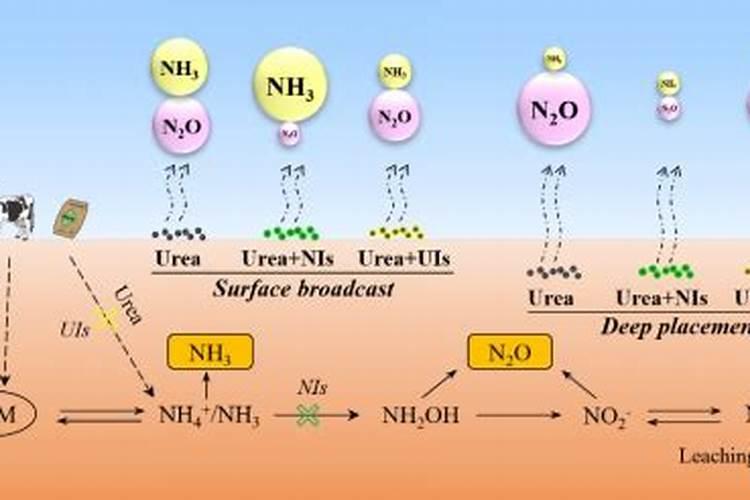 什么是氨氮？水产养殖氨氮产生、超标危害及检测控制!