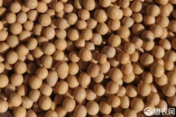 硼肥的用量、作用及使用方法