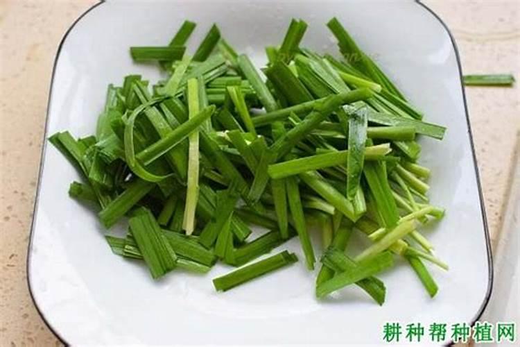 种植韭菜,在施肥管理上,有哪些误区需要避开？