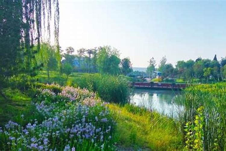 水溶肥哪个品牌最好