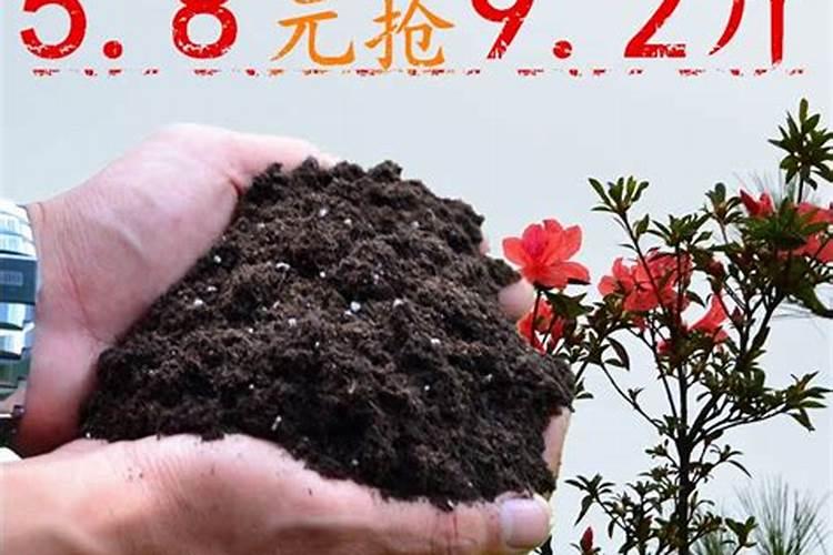 小麦追肥晚了贪青怎么办？
