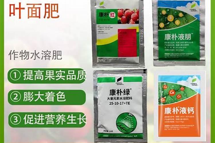 冬天的绿叶蔬菜有哪些