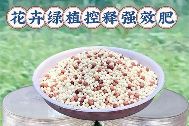 养花的土太硬了如何处理？
