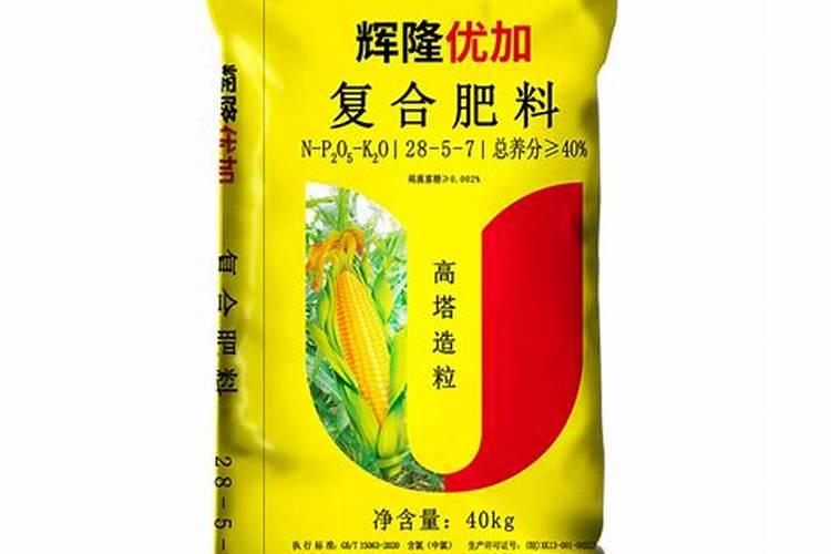 买来的长寿蟹爪兰···千万别放这儿,小心掉苞不开花!