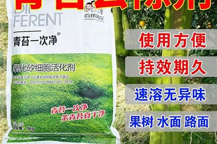 用青苔种兰花怎么施肥
