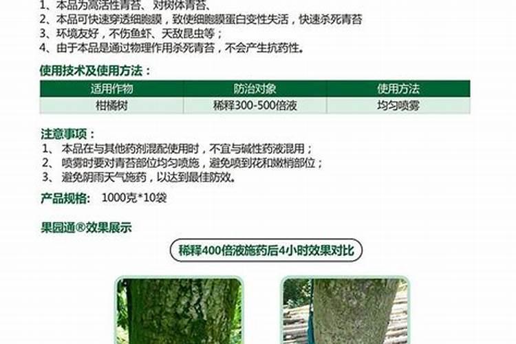 下什么肥可以灭青苔