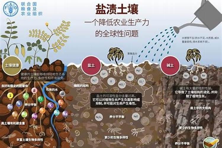 钾肥简介