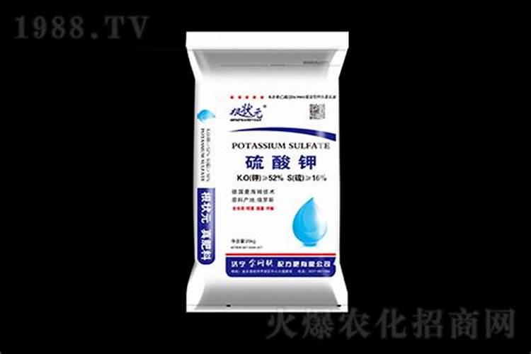 连翘如何育苗