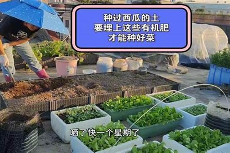 三个17的复合肥配方怎样计算出来各多少斤？
