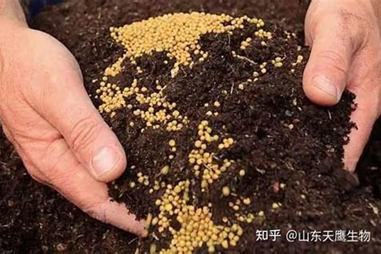 如何判断茶叶有化肥作用