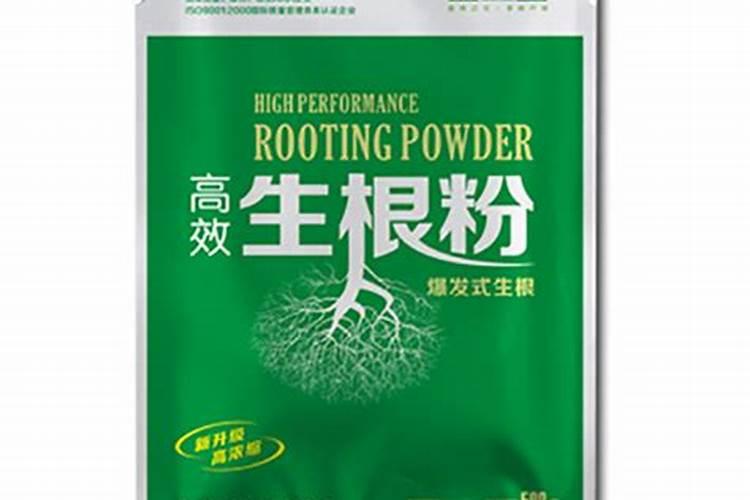 葡萄树使用什么肥料能长根