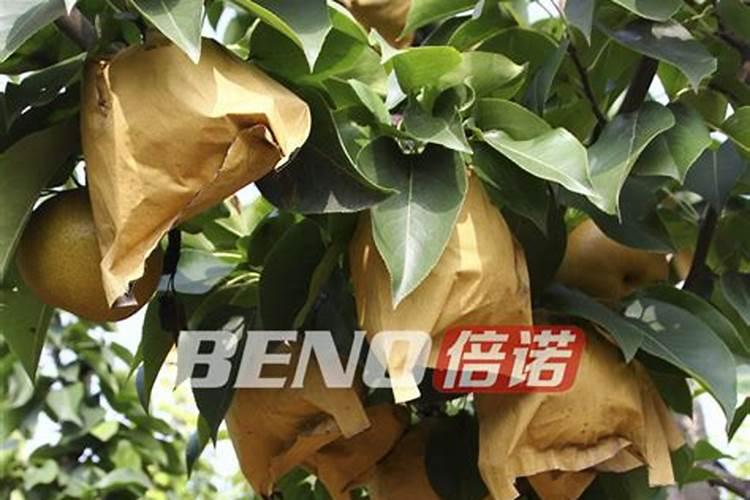 农用钾肥检测标准
